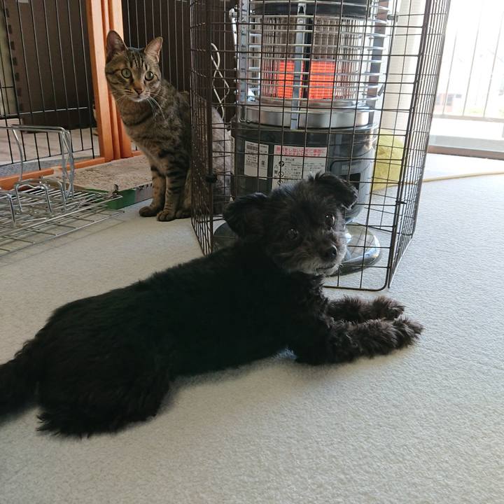 34f5cdcc 7e55 4590 90b1 13ca5b2d5370 1576297828026