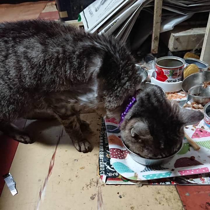 34f5d6c6 27e8 4a4b 8c1a cb500436dcb7 1592211417777