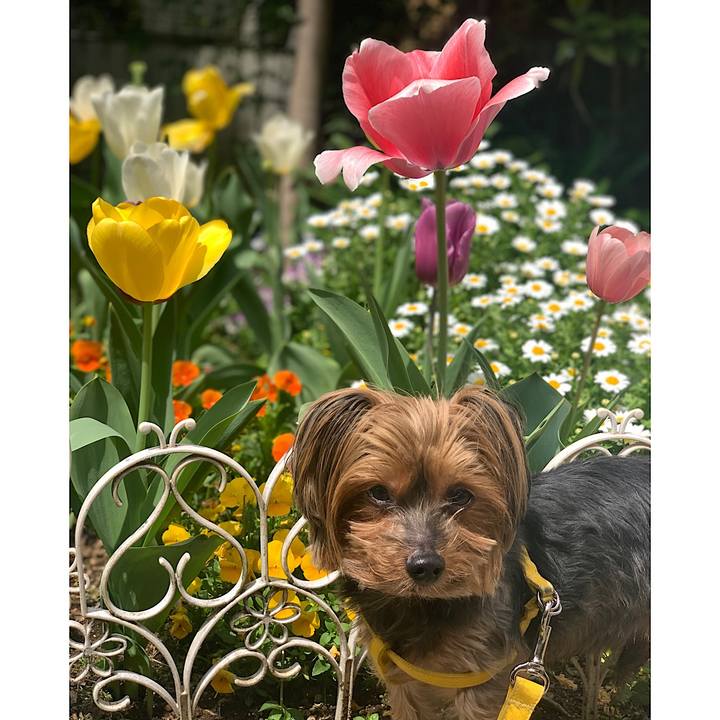 34f5fd4b d73a 4e99 b550 b3f388a5ac08 1617248359066