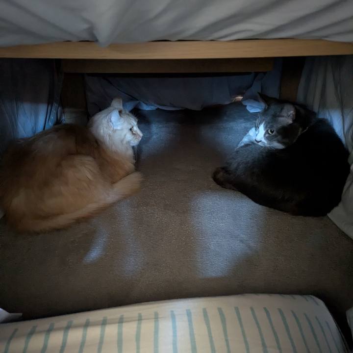 34f60ba0 e30e 45f7 a4cd 18899ac3da00 1765428681527