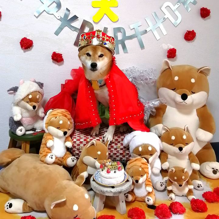 34f61f87 849d 4866 a45c f8903d76d389 1670553003275