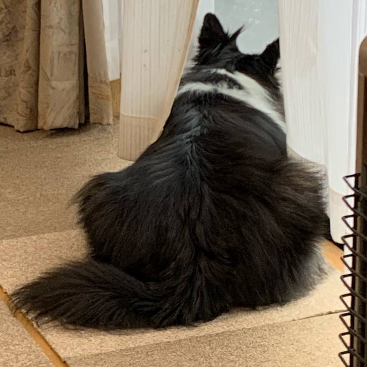 34f64383 e273 4ae9 98a5 4fe2452b839e 1586813307599