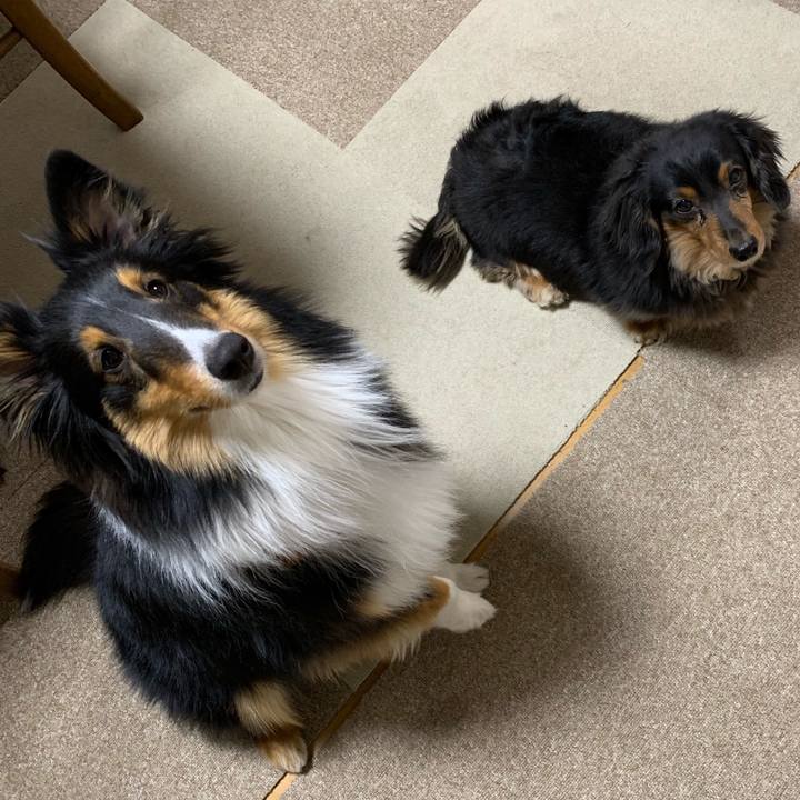 34f64f0f b692 4132 a39d 1b4cbf552c03 1550181368121