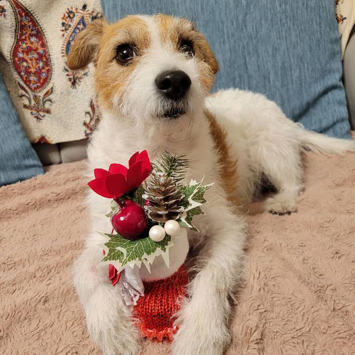 34f67746 6014 474d 96c0 ac79e6050dbe 1702511204273