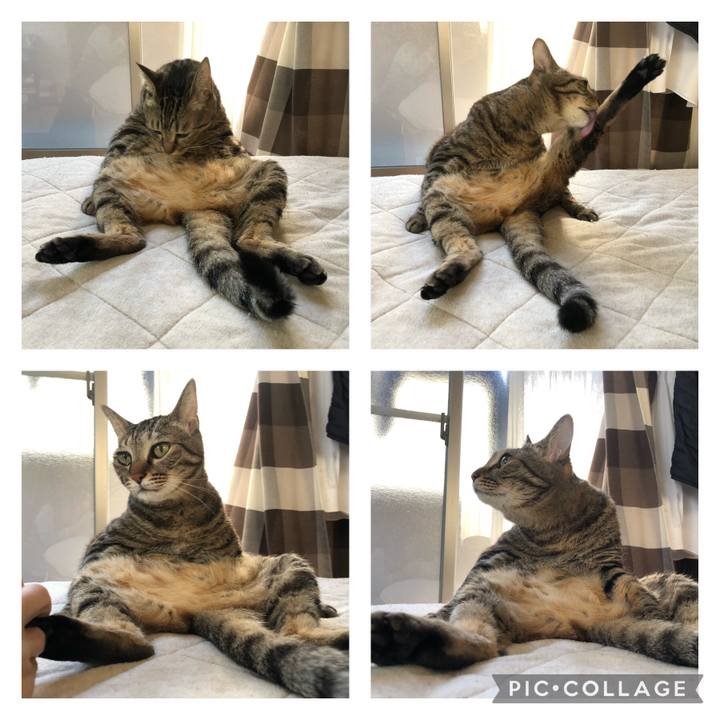 34f68347 69ca 4607 9357 fd7c0f55083b 1637358062628