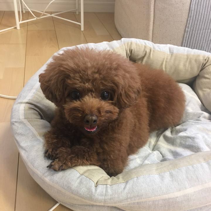 34f68619 2fa9 42a3 87b9 8730ff28ddaa 1537914739936