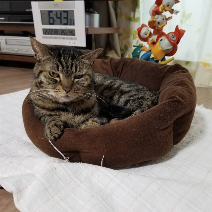 34f68974 de4d 40a6 bf35 8806e38cb326 1613943830241