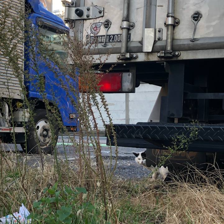 34f68b59 2373 434d a9b8 103dd04c8295 1580974718018