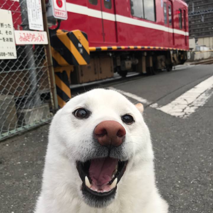 34f6d2af 98f5 4052 b3ab 5aa368a24bf8 1518997598153