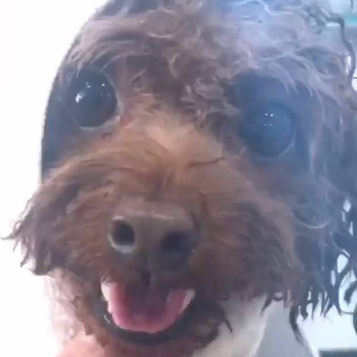 34f6e783 7a69 4fac 947b 71f9ba018679 1529888723408