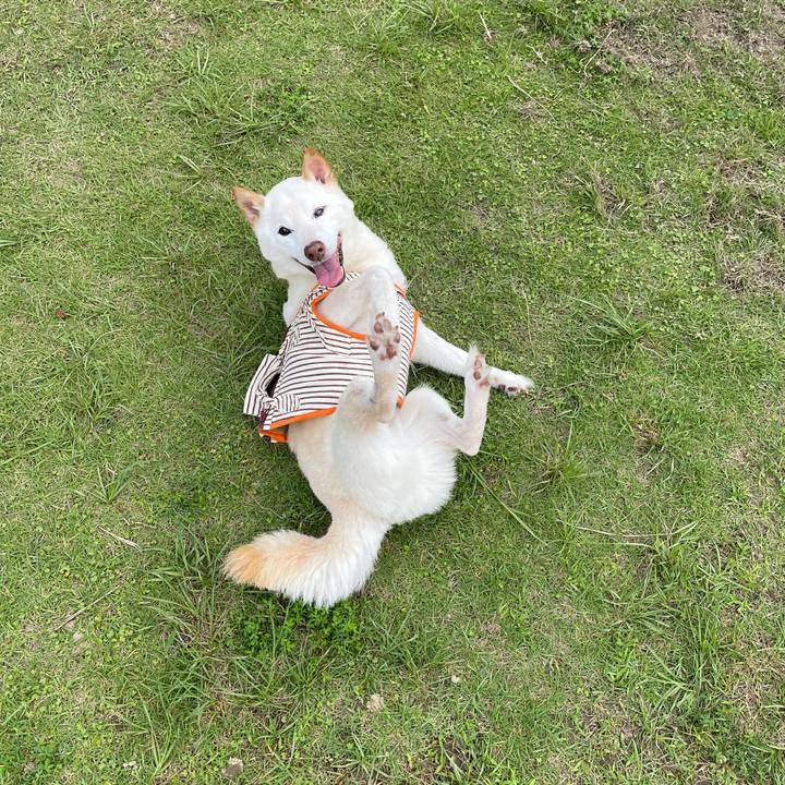 34f70529 7e26 46fc a64f 5f0f362a8359 1655971630887