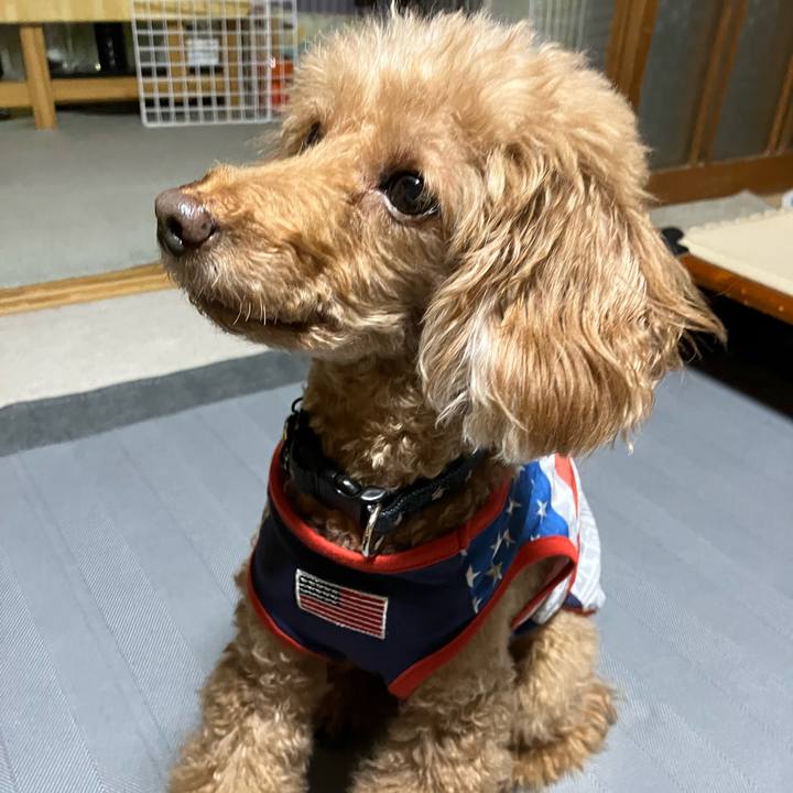 34f70cb5 711a 45b8 8d32 9e7c2d04e010 1703063880600