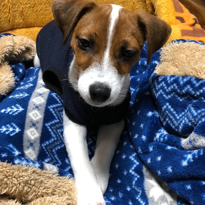 34f77999 96fc 49d1 a42d 7805d1b1e99d 1515635355227