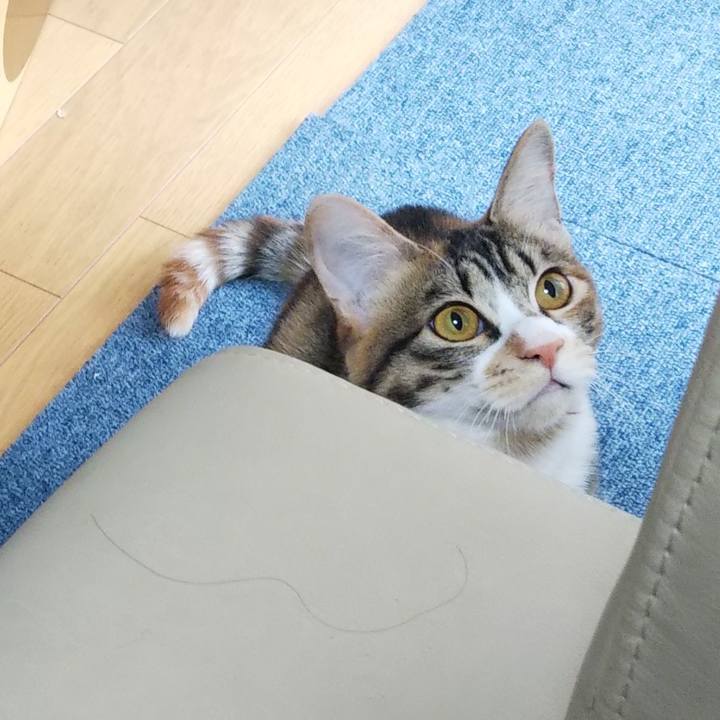 34f7ae3a ab50 4ff2 a878 9f28d645f6f6 1645438335421