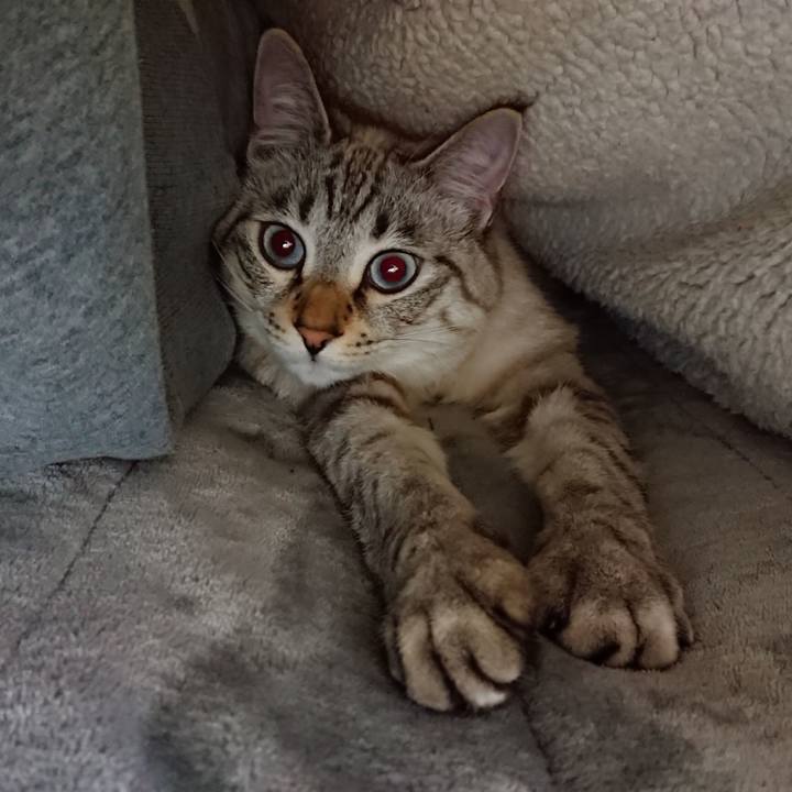 34f7b82e 17fc 45b1 815d b29fc7a867aa 1512733589691