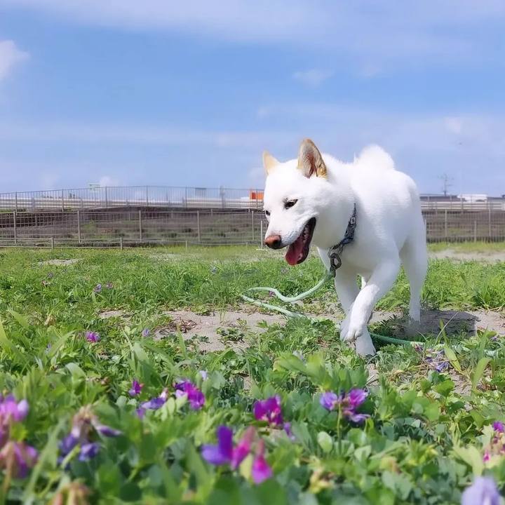 34f8143e 6649 48ee bf40 f52d674a1f9c 1680159166586