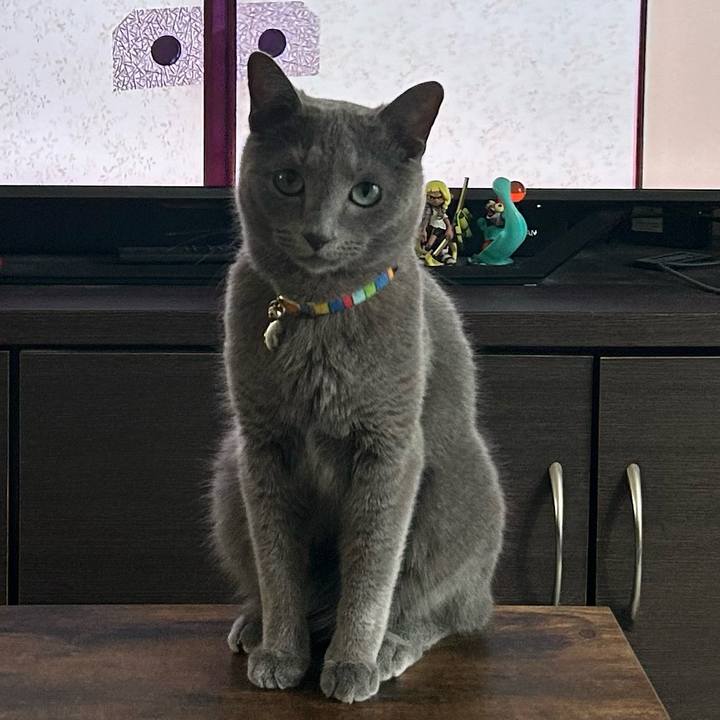 34f85ccc 2ca7 4e08 b5e9 6faad6289fe0 1690930098400