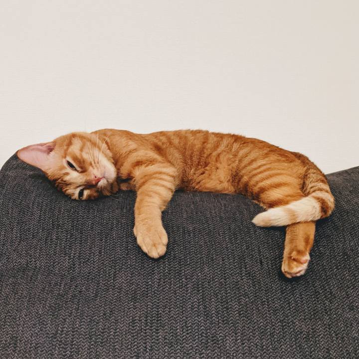 34f85f5a af73 47a6 803f 2bf5e1c99661 1632838832262