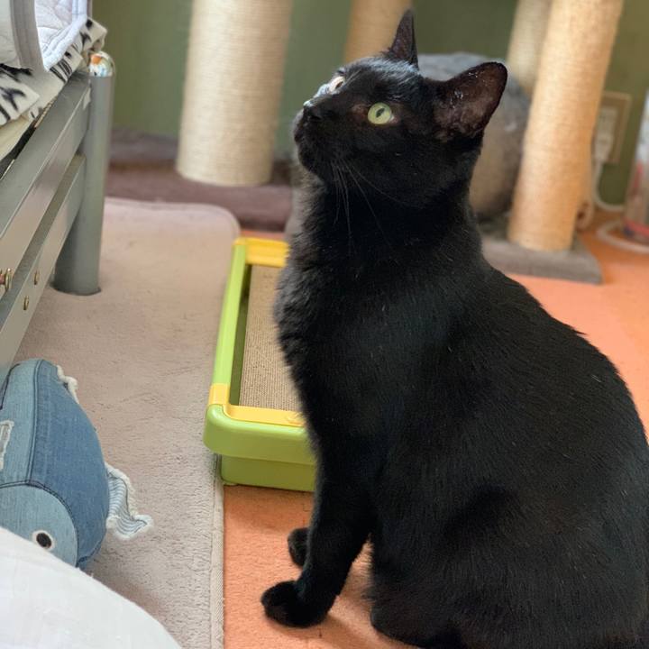 34f867dd d3cb 4f8a 94a4 efdebba0c4a6 1573088049065