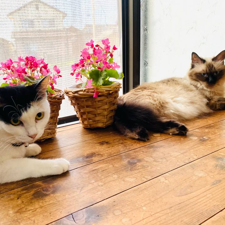 34f869b6 1824 42ba bb3b 5fc475f431f9 1663195115410