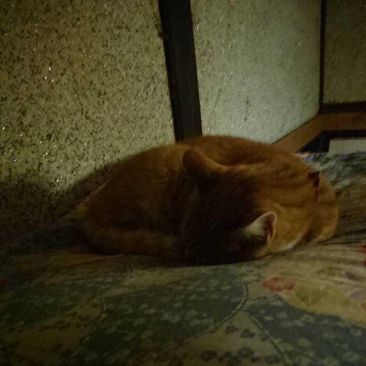 34f8b3f0 8ed4 441d abfe 1ef84b215550 1600952130119