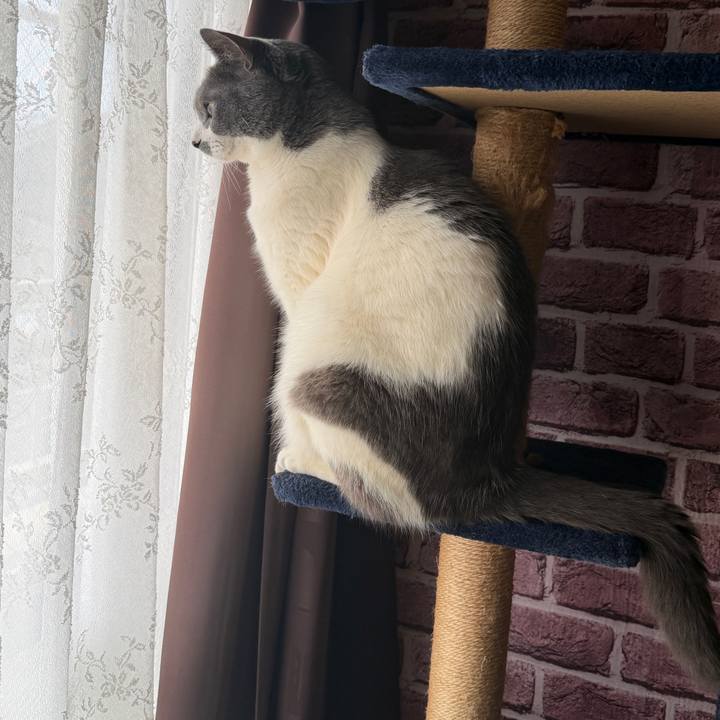 34f94840 5992 4ba8 8440 dc1c5237fb33 1774489423538