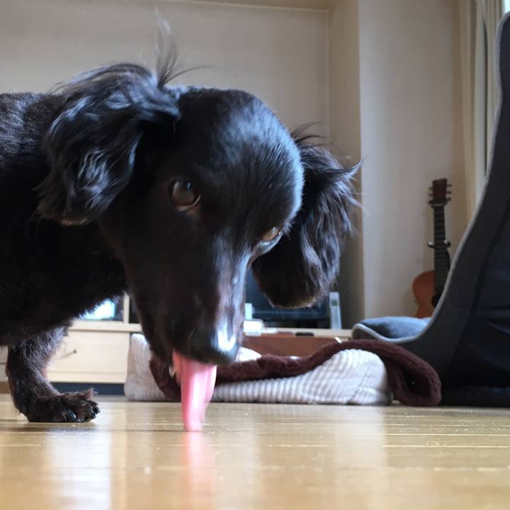 34f95889 5ce0 478e 8693 fc18b84e2ed8 1530224198795