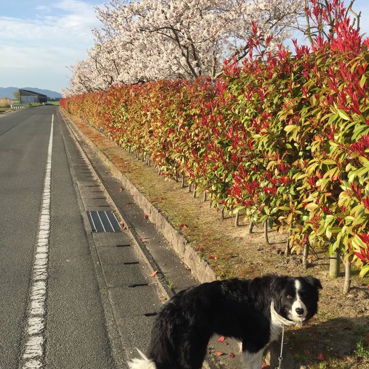 34f96123 232b 47bf 8cdd 31801eef6d3c 1554506436272