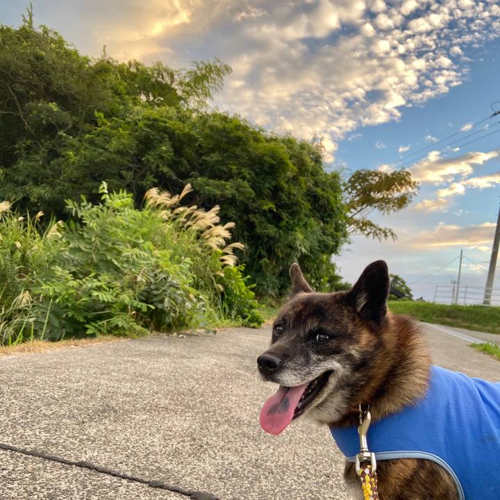 34f983a9 0aa5 4629 a98b bd7785ad7d78 1599470964681