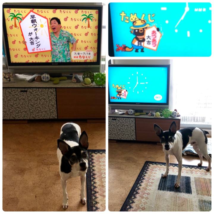 34f9cca5 6bfd 400d a420 8f6555cbc89d 1562538614569