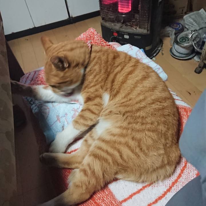 34f9e3f6 86f5 4a48 9603 6ef82db0bd20 1603231287438