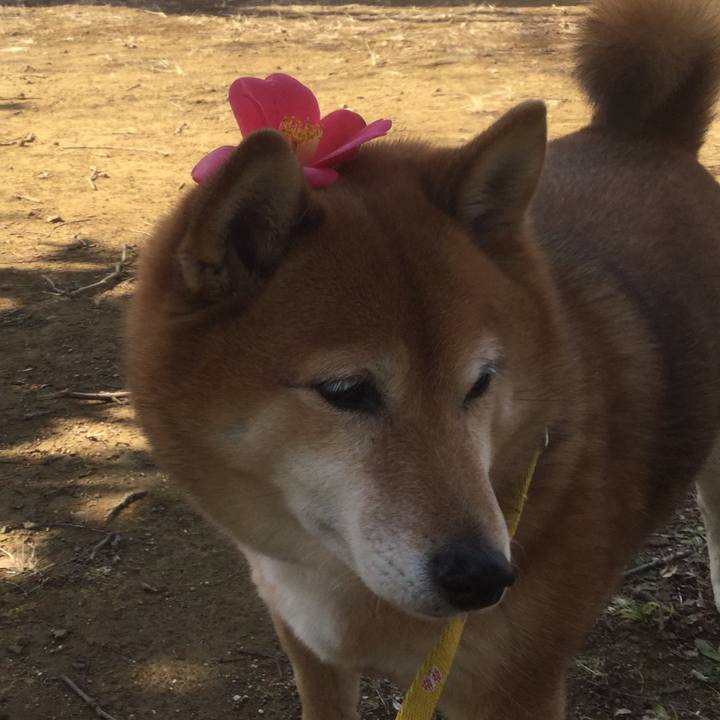 34f9fa9a 48cc 42ac 919c 3b3748795473 1550875077509