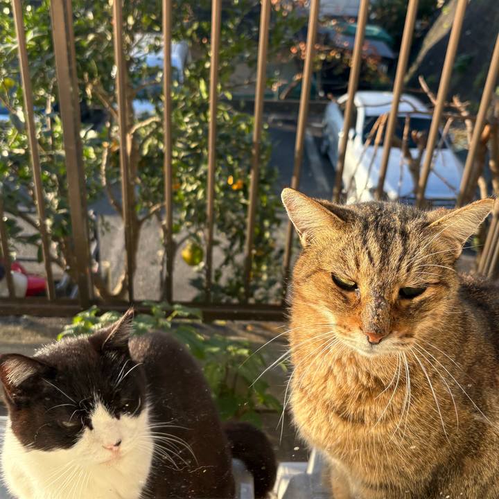 34fa1413 93c5 4d87 826d 918eef100cdd 1764370844199