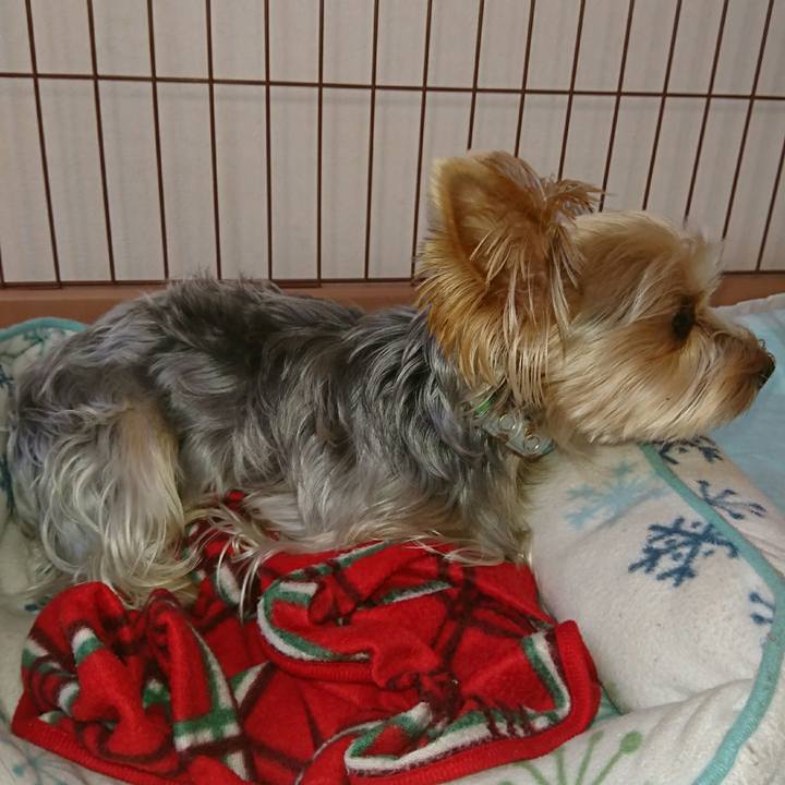 34fa2bdf b7e6 40b8 b30a 708022b94b0f 1510188462188