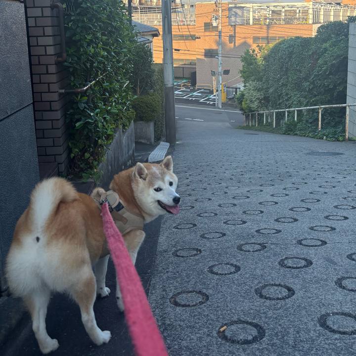 34fa357d 9584 4ae3 867b 11cb0155074a 1753485004887