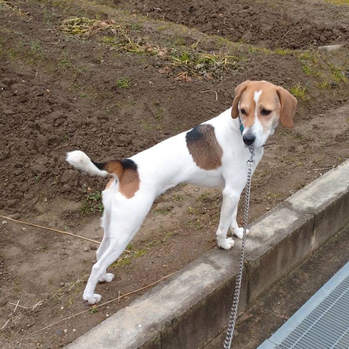 34fa4c6f 2a3f 488a 9ad2 ee24bad2c434 1610432078470