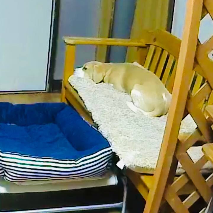 34fa6289 fc45 463e 9fad ff8806abb562 1574326381671