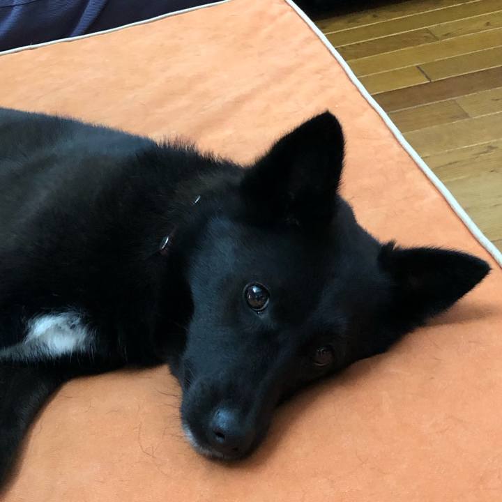 34fa6c51 b65f 4e84 9367 1371623b5d49 1562969326206