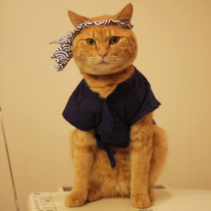 34fa89af f86c 4951 b205 3223acfad777 1720311577794