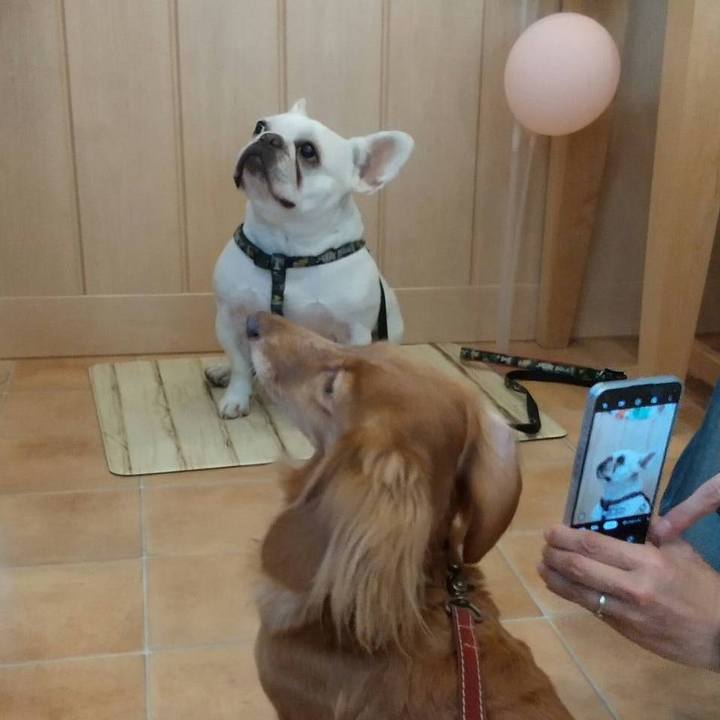 34fad3f6 e229 4fb7 9932 f5f5068293b4 1681943512554