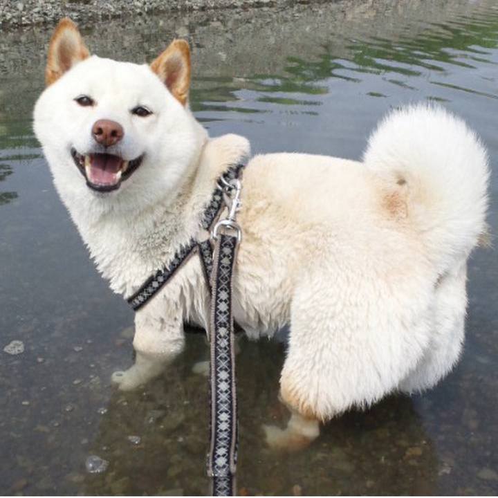 34fb08dd 4244 4d87 89d9 f75346049687 1680148298358