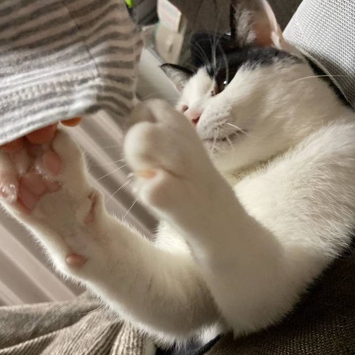 34fb1229 1673 4e79 944f e71f084793dc 1580383300650