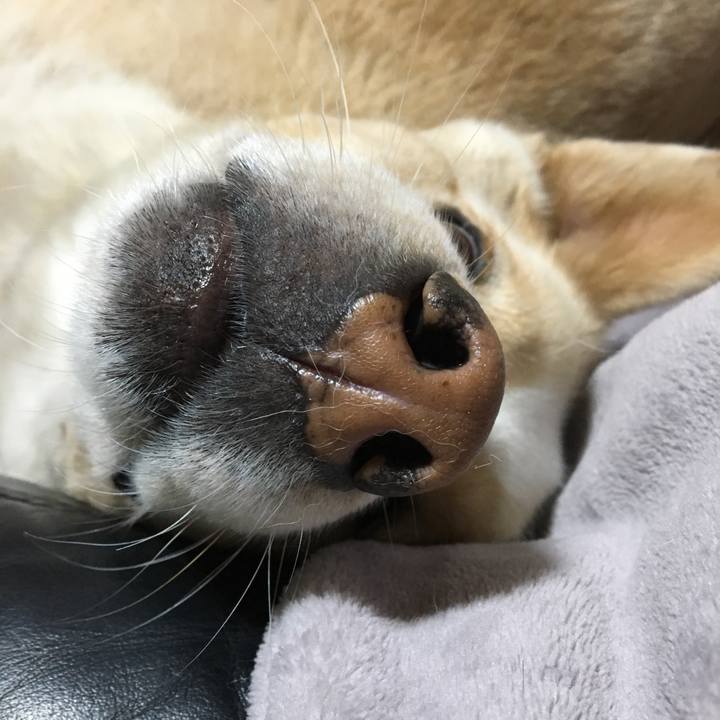 34fb2d98 55ba 4da3 a4e4 93bc321de3c9 1520853717877