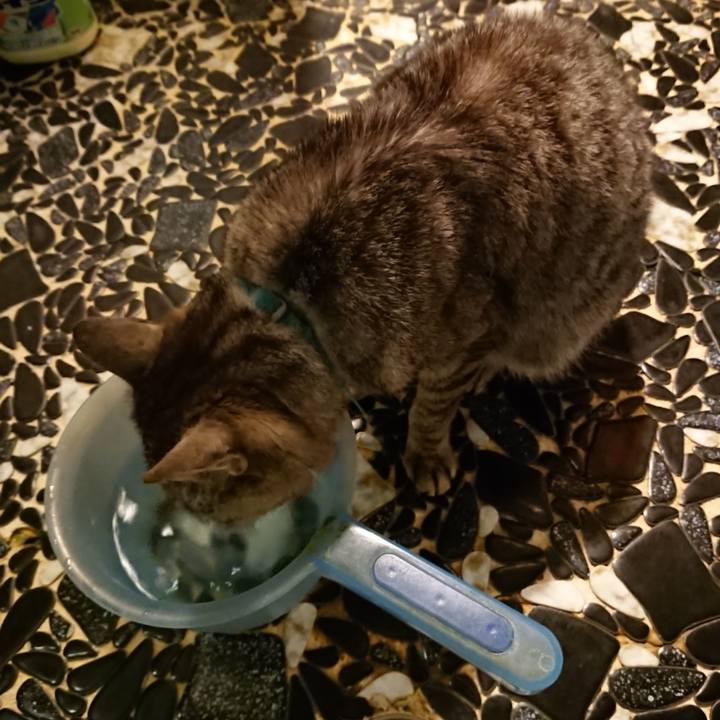 34fb43bb 7dd7 41d9 89d7 32668af8a974 1562668930557