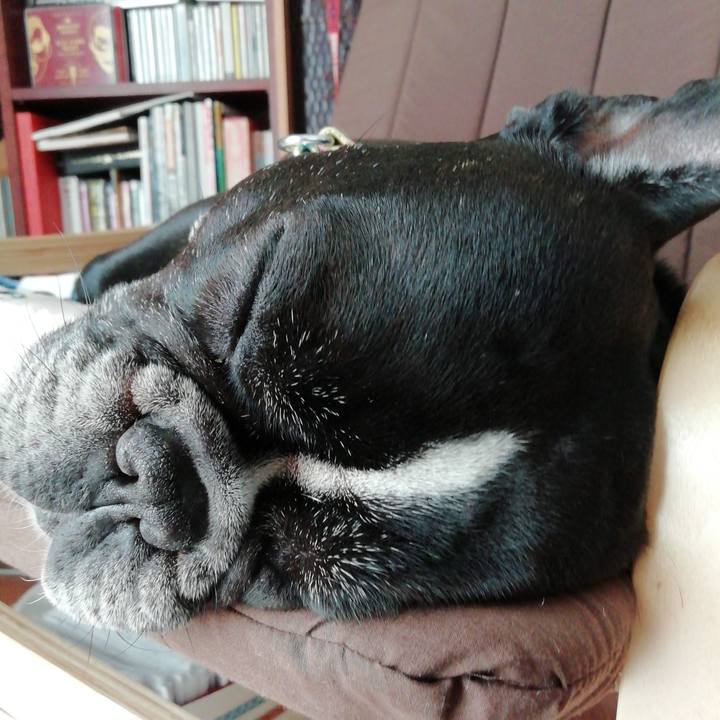 34fb51cf df87 46af a210 794c4f42964e 1588661984092