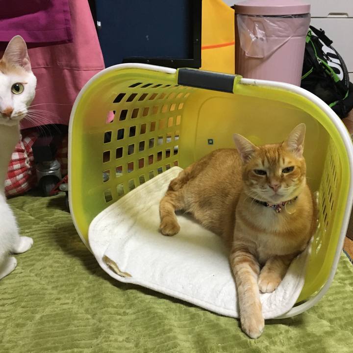 34fb9ea3 282c 493c 99a4 14a98ec21650 1550150902657