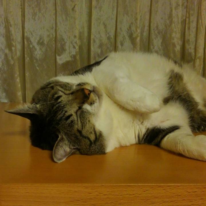 34fbb7d5 b19d 430b 896e 5056c35dc724 1526553154944