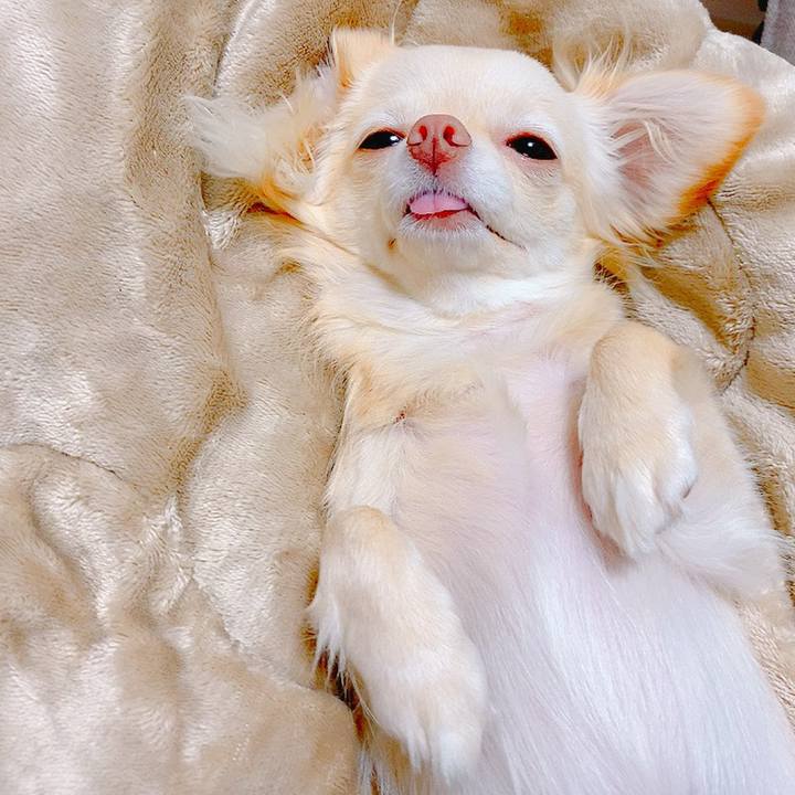 34fbbf93 dbce 4659 9595 fc75c9cce4a1 1622362849286