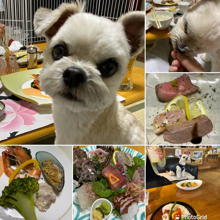 34fc3333 626d 411b bae2 2fc78fc05081 1650105298867