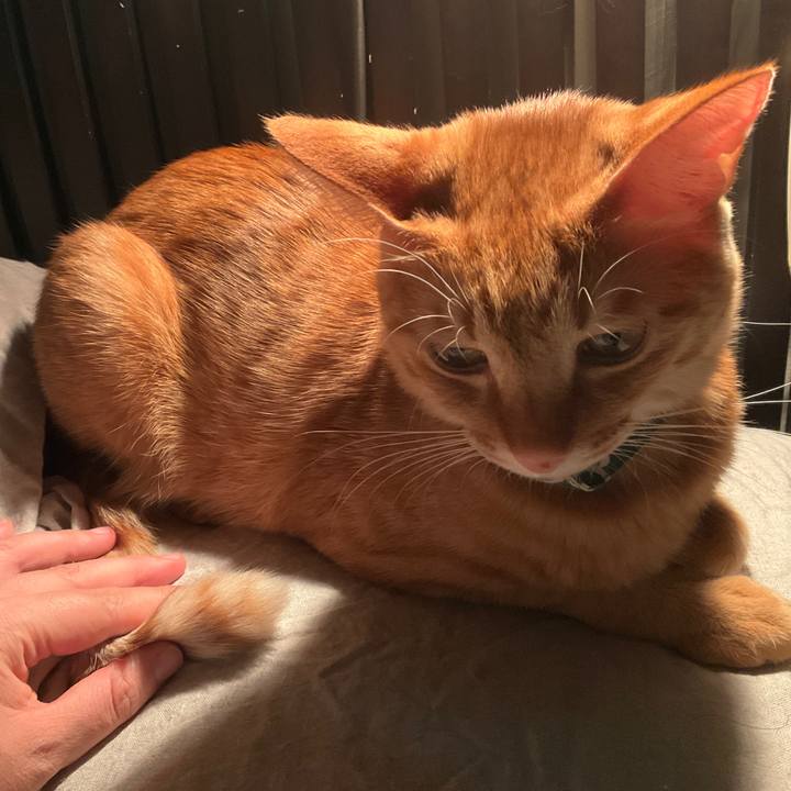 34fc38fb 53ae 40f7 81a6 1d72e240ca02 1638160092014